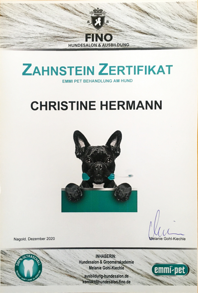 Zahnstein-Entfernung
