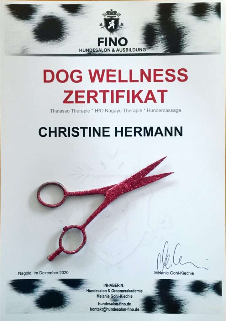 Dog-Wellness